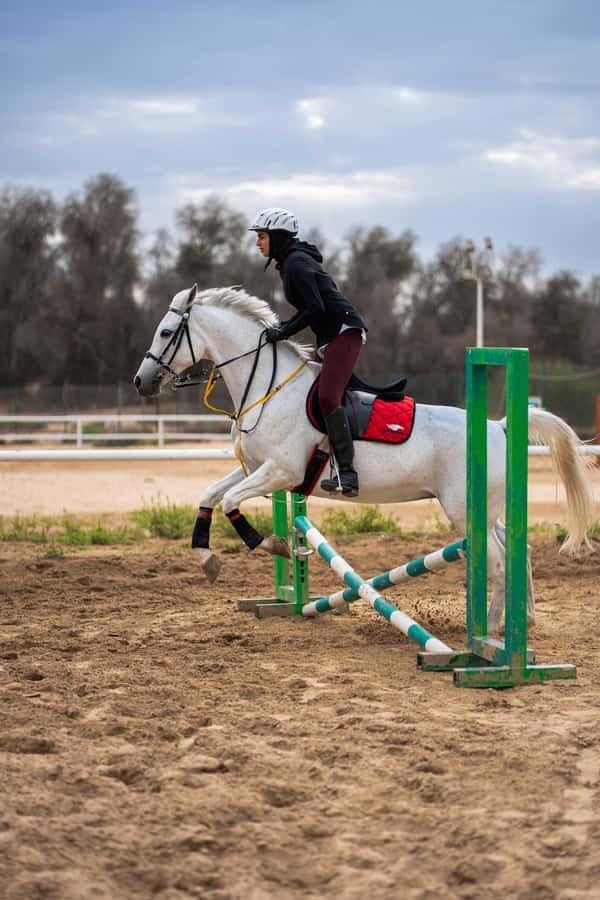 1 Hour Horseback Dubai Desert Park Ride - What the One-Hour Route Feels Like