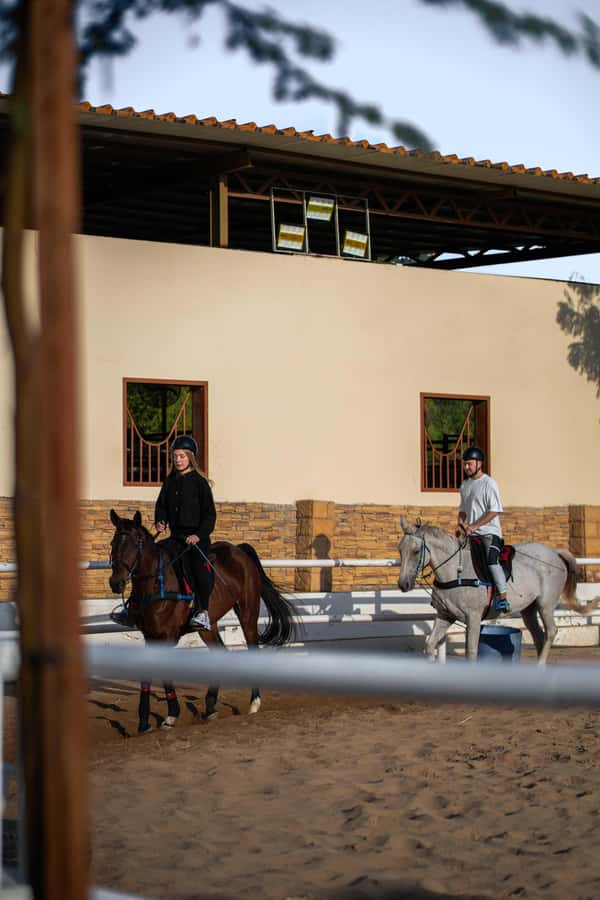 1 Hour Horseback Dubai Desert Park Ride - A Small Group Changes the Experience