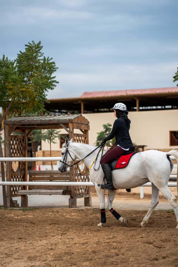 1 Hour Horseback Dubai Desert Park Ride - Horses for Beginners and More Experienced Riders