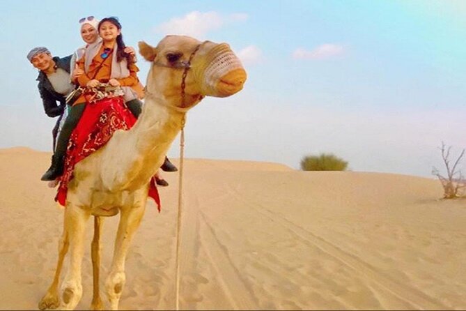 2-Day Abu Dhabi and Dubai City Tour with Desert Safari - What the price includes, and what it does not guarantee