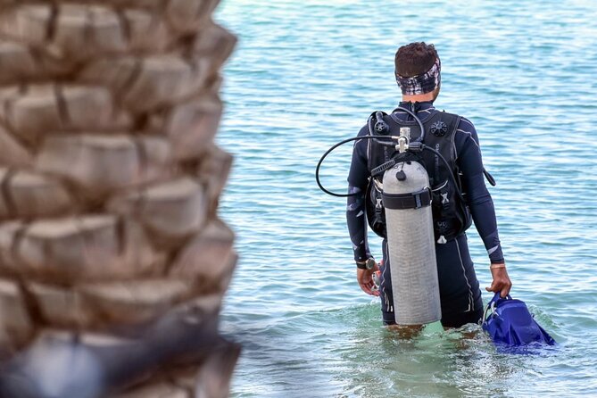3-Day PADI Open Water Diving Course in Dubai - What makes Dubai a practical place to learn