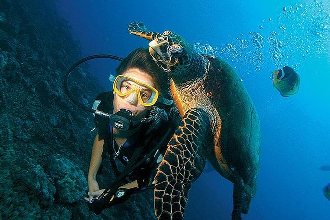 3-Day PADI Open Water Diving Course in Dubai - The online study is an extra step, not a small detail
