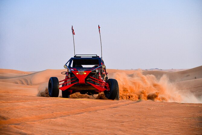 3000cc Dune Buggy & Sandboarding - Private Experience - Who will enjoy this outing most