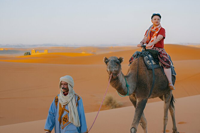 4 Hour Morning Desert Safari with Camel Ride & Sand Boarding - Who gets the best value from this safari