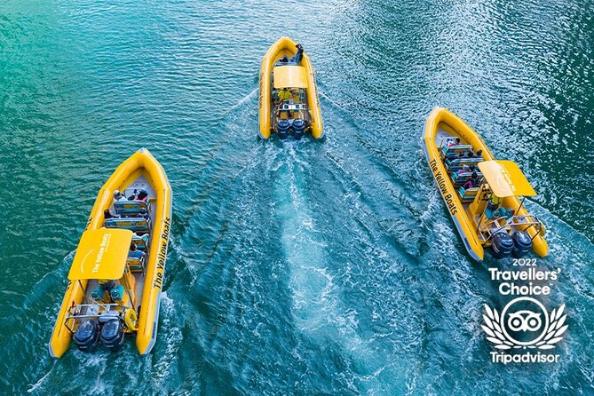 45-Minute Thrilling Speedboat Tour to Atlantis Hotel - Who will enjoy this boat ride most