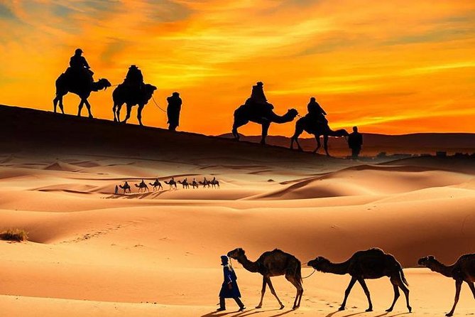 4x4 ATV Quad Biking Dubai Desert Tour - 1 Hour Experience - Safety, age, and group size