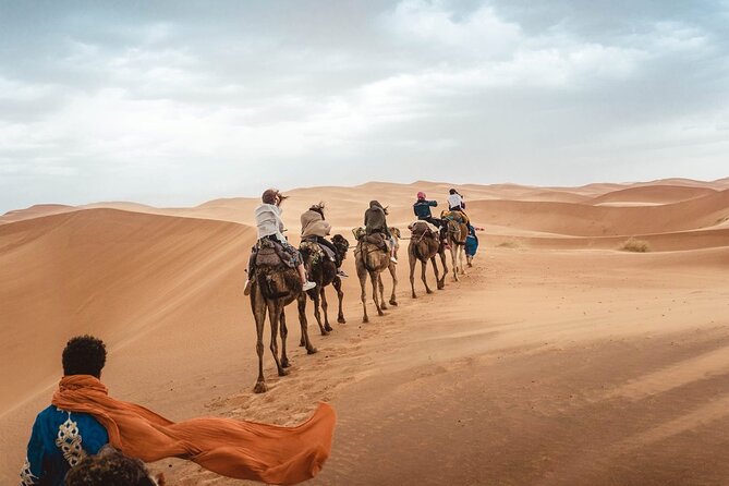 4x4 Desert Safari Abu Dhabi with BBQ Dinner - From Abu Dhabi hotels to the open dunes