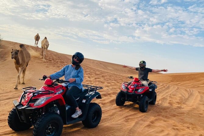 4X4 Dubai Desert Safari with BBQ dinner, Camels & Live Show - BBQ dinner and entertainment after dark