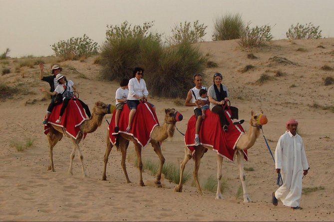 4X4 Dubai Desert Safari with BBQ dinner, Camels & Live Show - Pickup details can affect the value