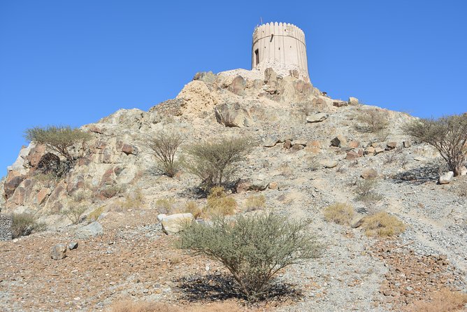4x4 Hatta Safari to Fossil Rock & Honey Bee Garden visit with Breakfast - Hatta Dam and the mountain views