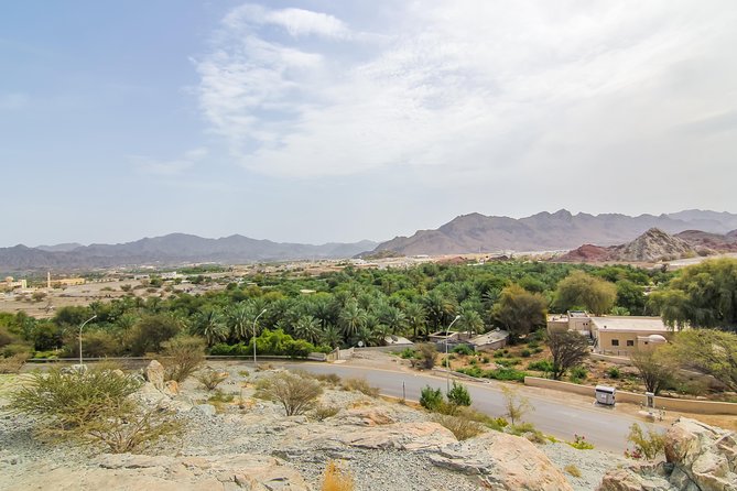 4x4 Hatta Safari to Fossil Rock & Honey Bee Garden visit with Breakfast - Camel Rock and the return through the dunes