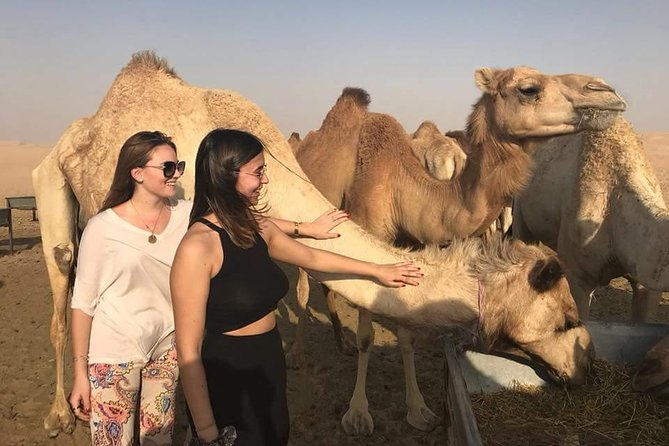 4X4 Private Abu Dhabi City Tour with Abu Dhabi Evening Desert Safari From Dubai - Yas Island adds modern Abu Dhabi to the route