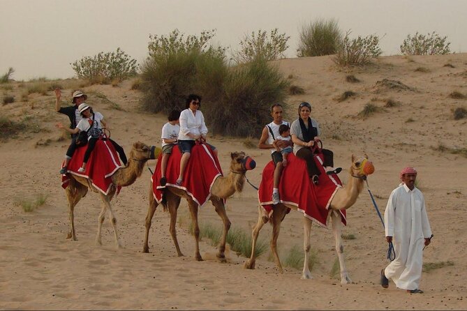 4x4 Self-Drive Quad Bike Safari with Camel Riding - Who should book this outing?