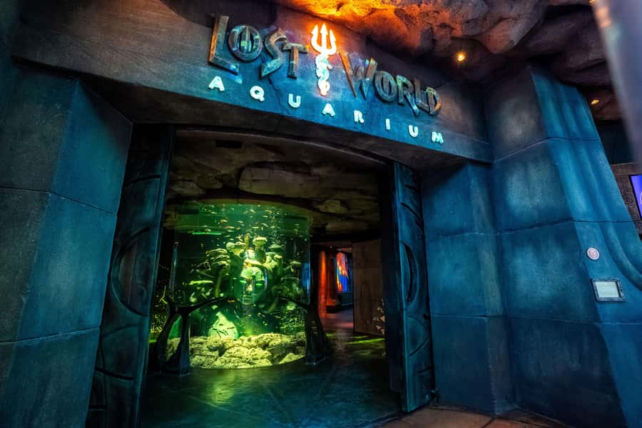 5-Day Pass: Hop-On Hop-Off, Lost World Aquarium, Dubai Frame - Blue Route: Jumeirah, Palm Jumeirah, and Atlantis