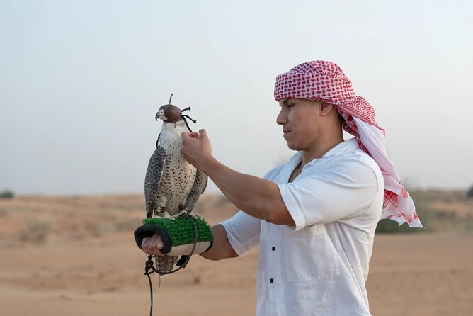 57 Camel Voyage - Falconry gives the evening a useful cultural focus