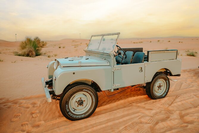 57 Heritage Desert Safari - The 30-minute falconry presentation
