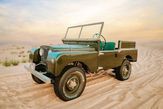 57 Heritage Desert Safari - Wildlife inside the Dubai Desert Conservation Reserve