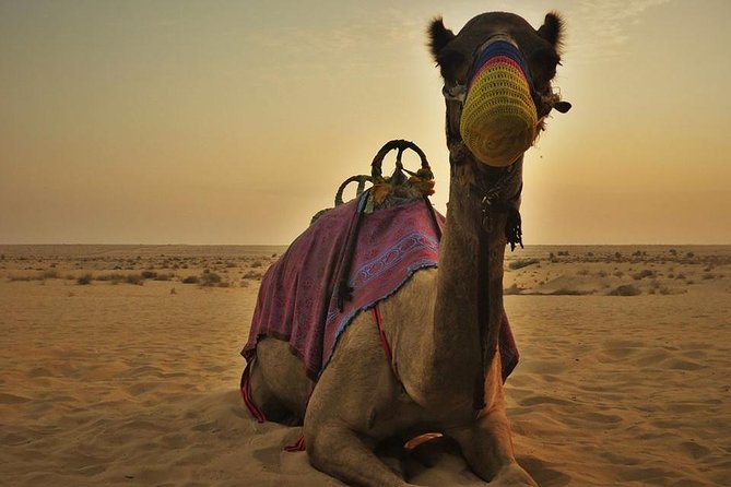7-hour Small Group 4x4 Desert Safari Tour with Buffet Dinner in Dubai - What the $30.70 price really covers