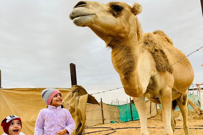 Abu Dhabi: 4x4 Desert Safari and Sandboarding. - From Abu Dhabi to the Al Khatim Desert
