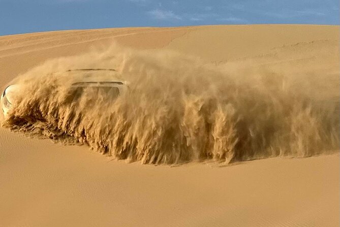 Abu Dhabi: 4x4 Desert Safari and Sandboarding. - A camel farm stop with time for photos