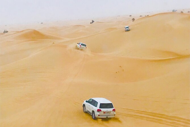 Abu Dhabi City Tour and Desert Safari - The Sheikh Zayed Grand Mosque deserves your attention