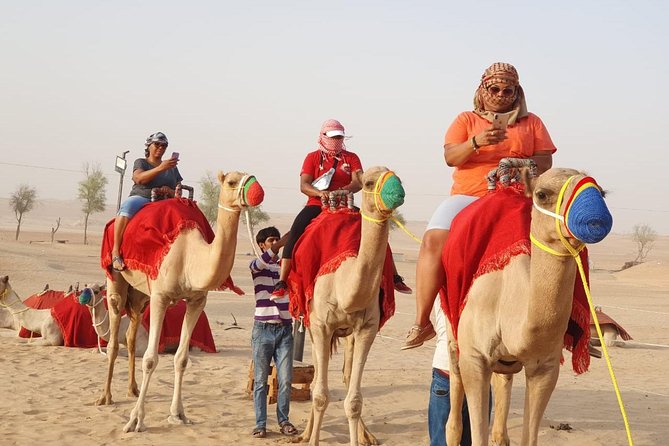 Abu Dhabi city tour & desert safari from Dubai - Should you book it?