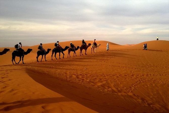 Abu Dhabi City Tour with Desert Safari Adventure - The six-hour desert safari