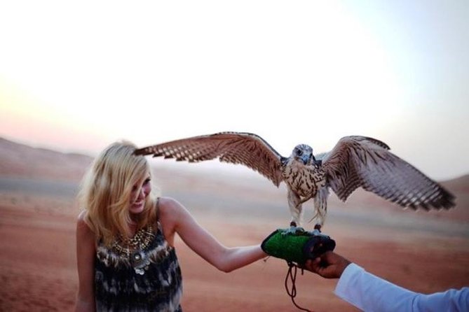 Abu Dhabi Desert Safari 4x4, BBQ Dinner, Camel Ride - A full desert evening from Abu Dhabi