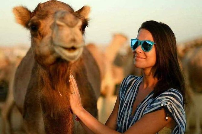 Abu Dhabi Desert Safari 4x4, BBQ Dinner, Camel Ride - The Al Khatim 4x4 dune ride