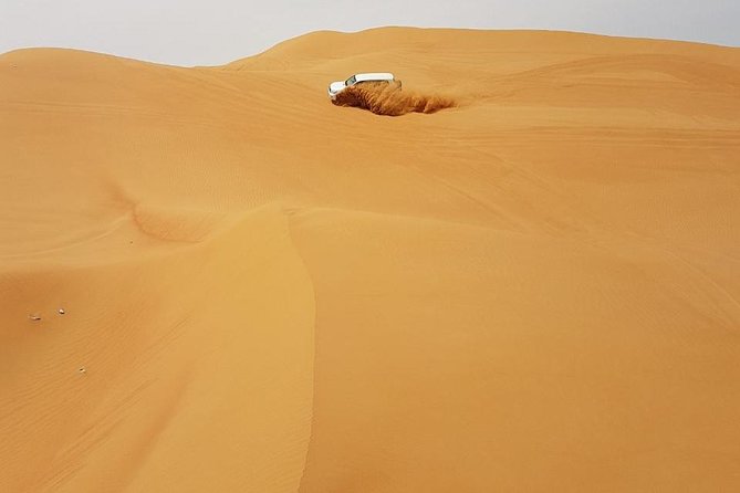 Abu Dhabi Desert Safari 4x4, BBQ Dinner, Camel Ride - Sandboarding on a high dune