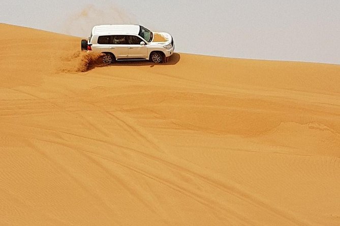 Abu Dhabi Desert Safari 4x4, BBQ Dinner, Camel Ride - Shisha and ten minutes of stargazing