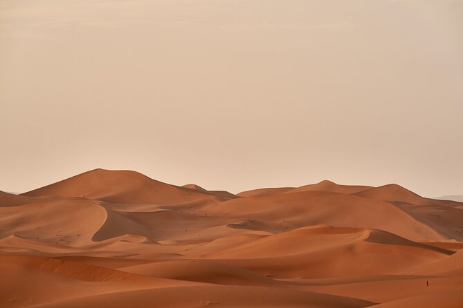 Abu Dhabi Desert Safari Tour with Shows & Buffet Dinner - Timing, group size, and comfort
