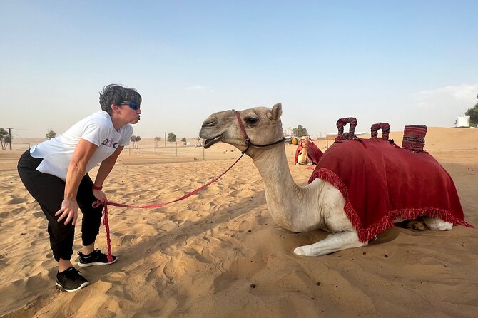 Abu Dhabi Desert Safari Tour with Shows & Buffet Dinner - Al Ajban and the first rush of sand
