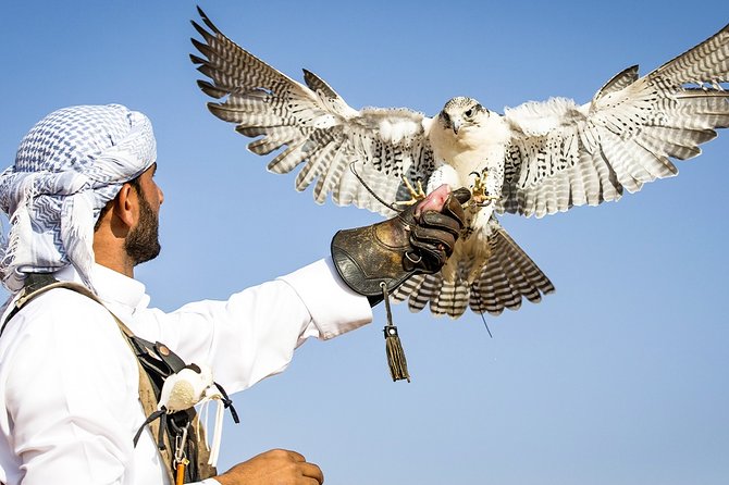 Abu Dhabi: Desert Safari with BBQ, Camel Ride & Sandboarding - Sandboarding across soft Abu Dhabi dunes