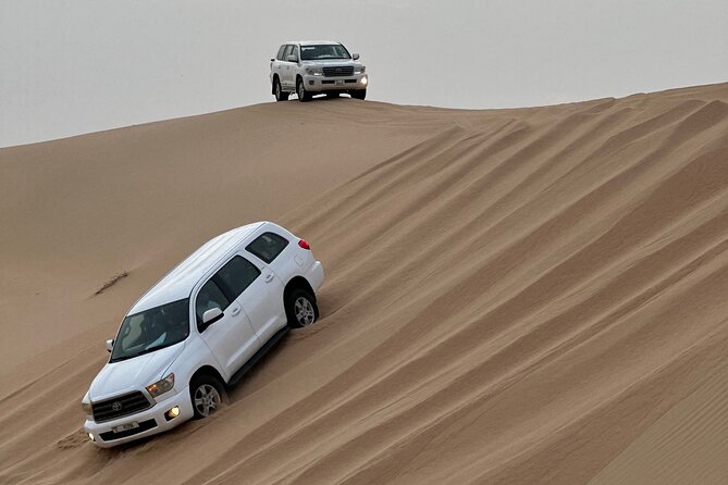 Abu Dhabi Desert Safari With BBQ Dinner & Live Shows - What the $60 Abu Dhabi desert safari really gives you