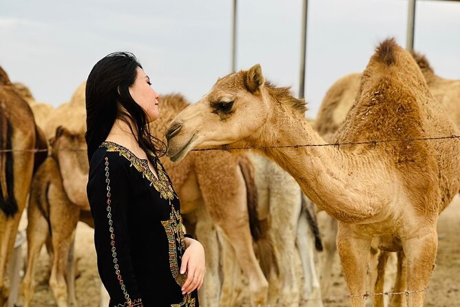 Abu Dhabi Desert Safari With BBQ Dinner & Live Shows - Sunset photos, sandboarding, and the short camel loop