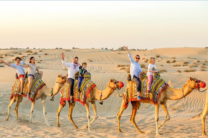 Abu Dhabi Desert Safari with Live Entertainment and Live BBQ - What dune bashing is really like