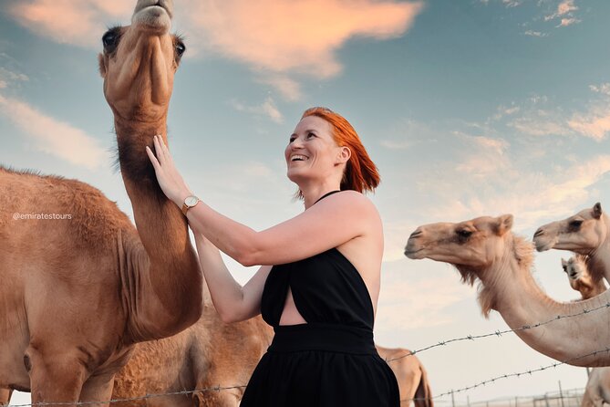 Abu Dhabi Evening Desert Safari BBQ, Camel Ride, Entertainments - Stargazing in the open desert