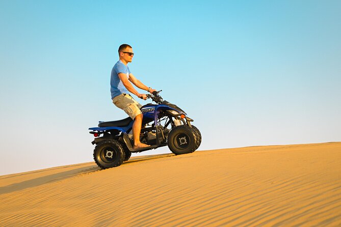 Abu Dhabi Evening Desert Safari - Dune bashing Camel ride and BBQ - Camels at the farm, not just a quick photo stop