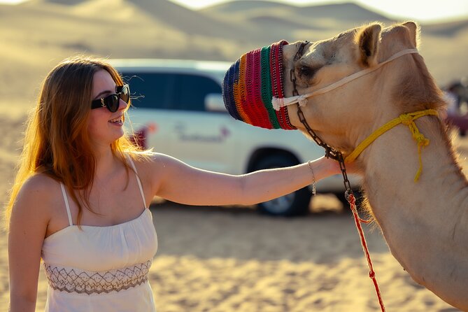 Abu Dhabi Evening Desert Safari - Dune bashing Camel ride and BBQ - Dune bashing, with speed and soft sand