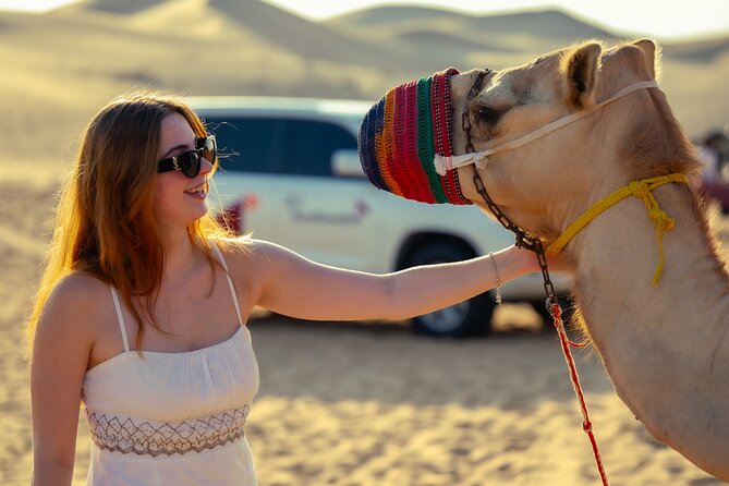 Abu Dhabi Evening Desert Safari - Private car Dune bashing & BBQ - What the private price really buys you