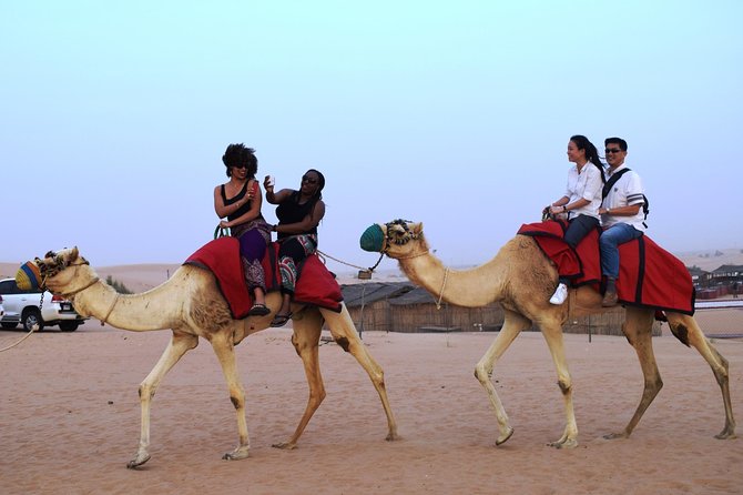 Abu Dhabi Evening Desert Safari with BBQ Dinner and all Camp Activities - Leaving Abu Dhabi for the dunes