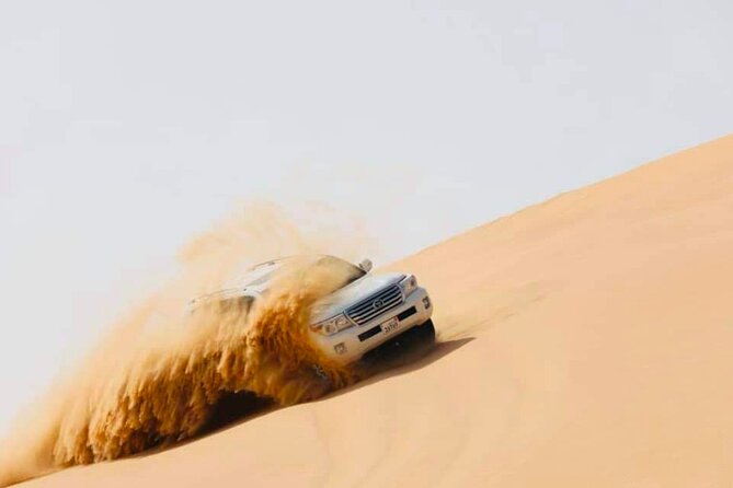 Abu Dhabi: Evening Desert Safari with Camel Ride, BBQ & Live Show - Is $72 a good value?