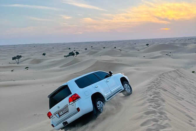 Abu Dhabi: Evening Desert Safari with Camel Ride, BBQ & Live Show - Camels, sandboarding, and desert photographs
