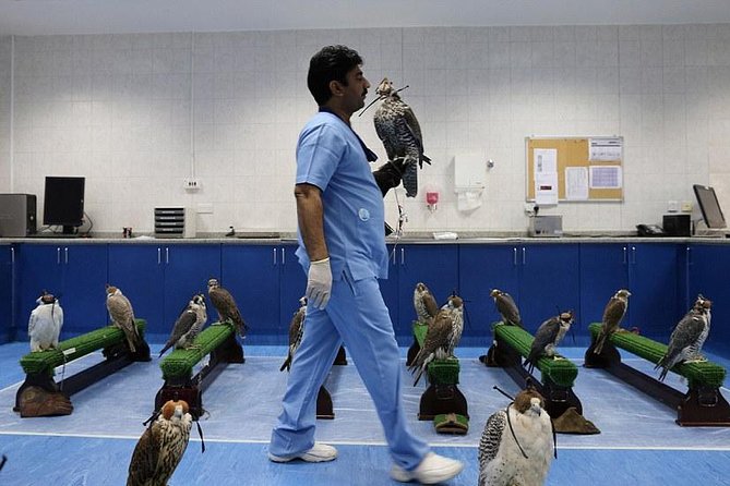 Abu Dhabi Falcon Hospital Tour - Transport from Abu Dhabi and the location issue