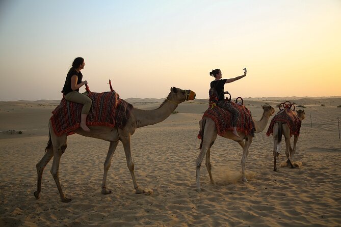 Abu Dhabi Half Day Desert Safari - Who will enjoy this Abu Dhabi desert safari?