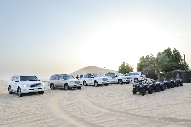 Abu Dhabi Half Day Desert Safari - Should you book it?