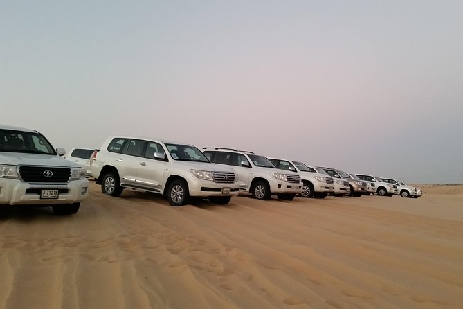 Abu Dhabi Morning Desert Safari - Sand boarding brings easy, low-cost fun