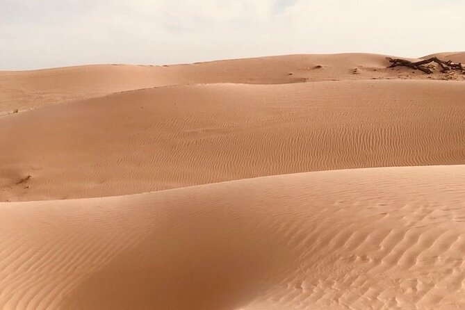 Abu Dhabi Morning Desert Safari,Dune Bashing,Sandboarding,Camel Riding&Quad Bike - Sandboarding is fun, but harder than it looks