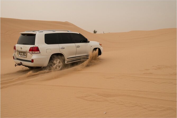 Abu Dhabi morning desert safari - Private car - Sandboarding on the Arabian dunes